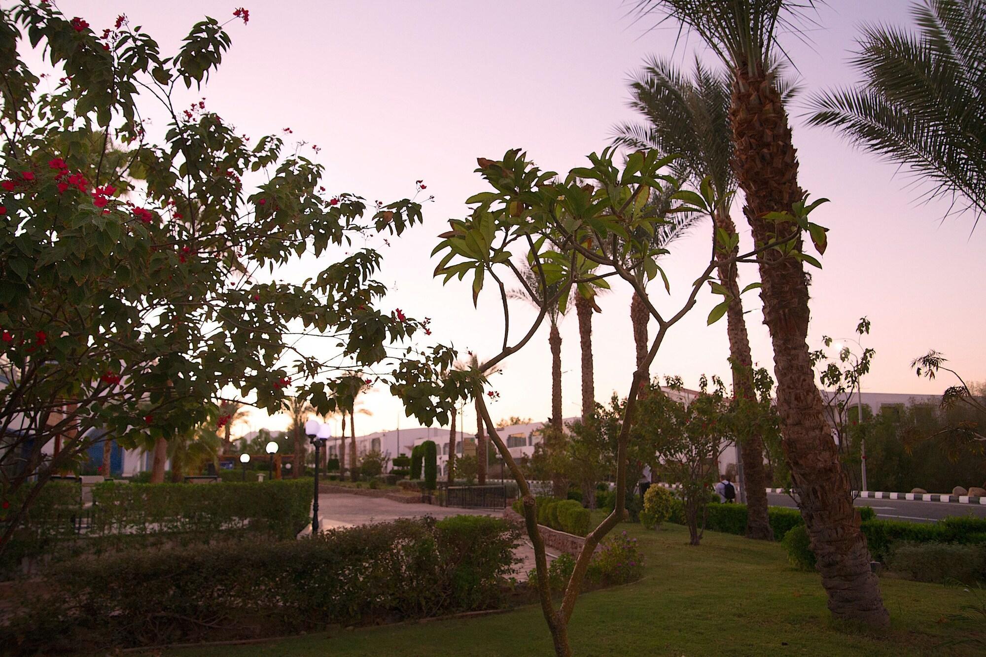 Naama Blue Hotel Şarm El-Şeyh Dış mekan fotoğraf